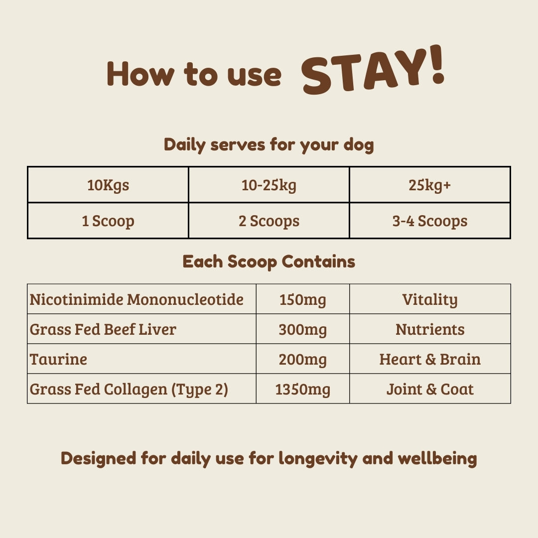 STAY! Longevity food topper