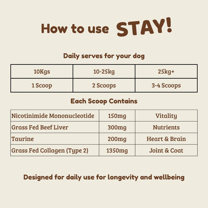 STAY! Longevity food topper