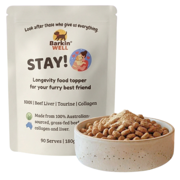 STAY! 1 Pack Subscription