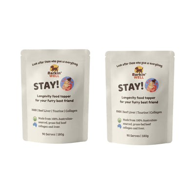 STAY! 2 pack