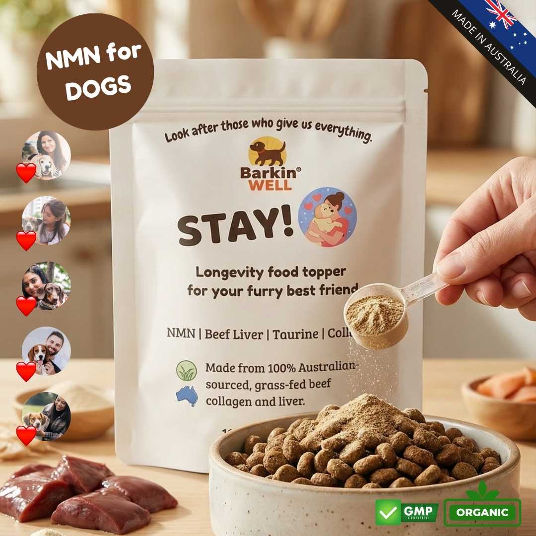 STAY! Longevity food topper