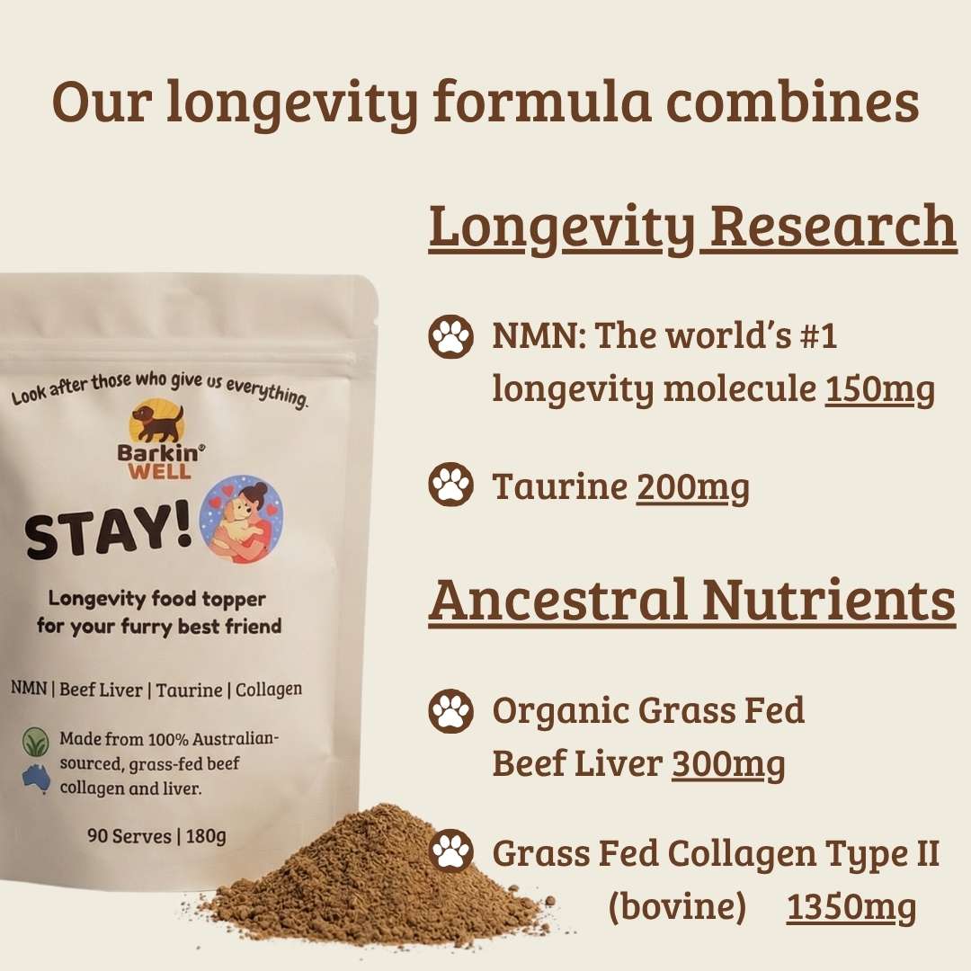 STAY! Longevity food topper